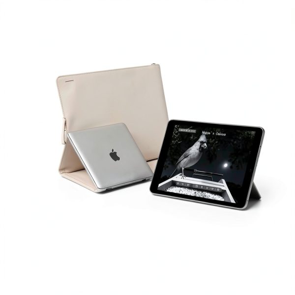 Parrot Uncle Bird Feeder Camera Solar AI Recognition Night-6