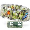 Parrot Uncle Bird Feeder Camera Solar AI Recognition Night-2