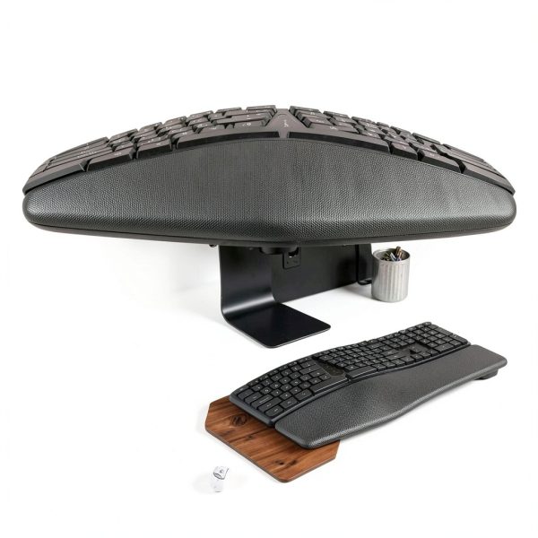 ergonomic pronunciation