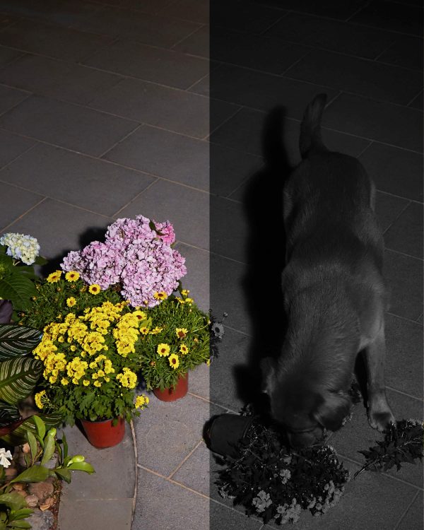 eufy SoloCam S40 Outdoor Wireless 2K Solar Spotlight Camera-4