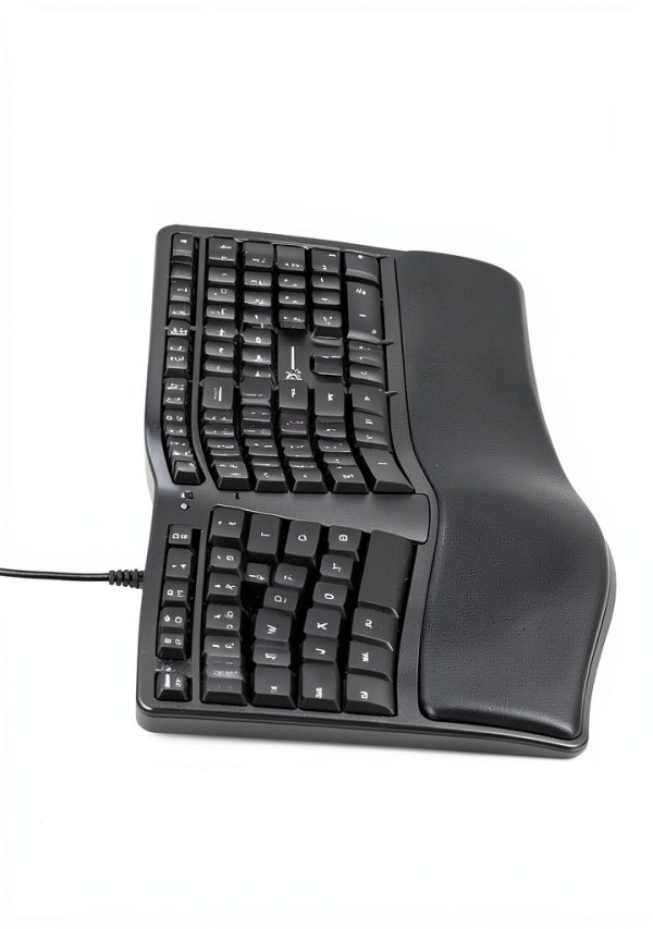 ergonomic pronunciation