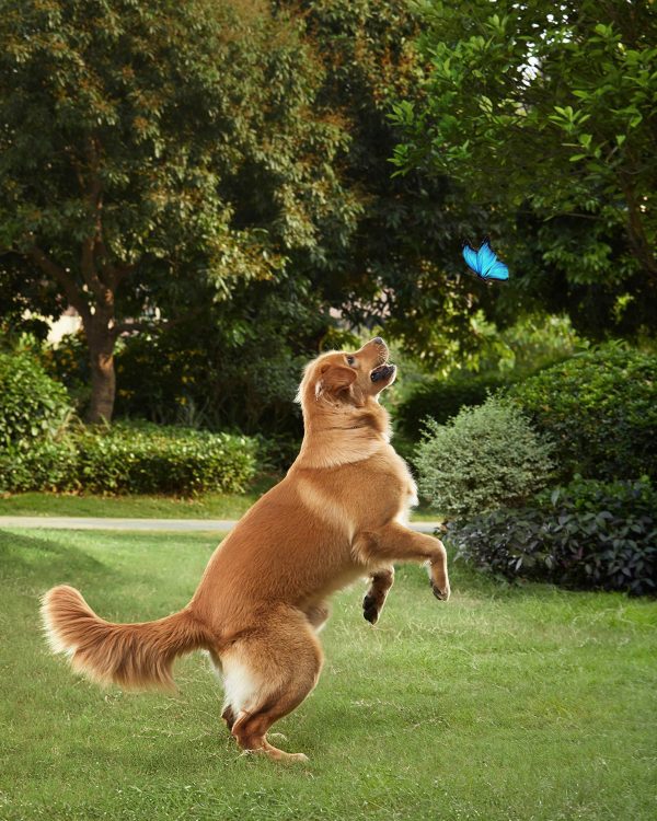 eufy SoloCam S40 Outdoor Wireless 2K Solar Spotlight Camera-1